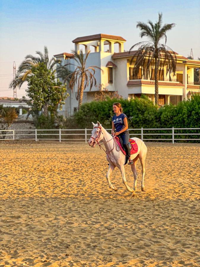 מלון Giza Sakkara Country Club מראה חיצוני תמונה